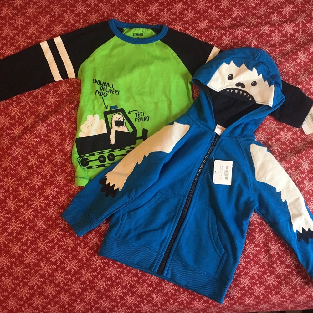 Gymboree T and sweatshirt